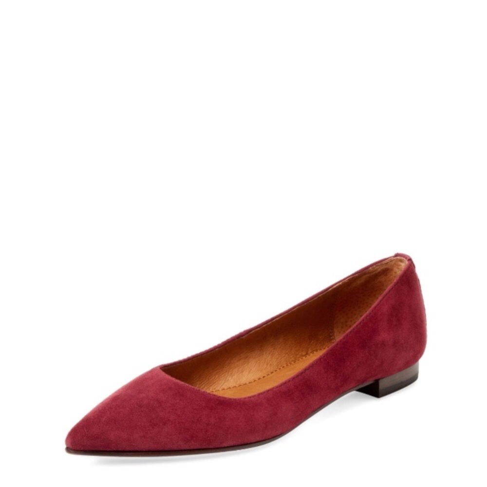 Pointy Ballet Flat NWT